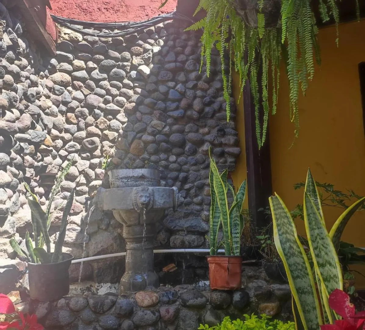 Casa Nikte Hotel Антигуа-Гватемала